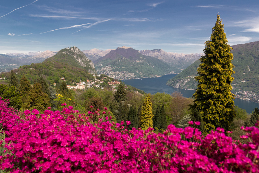 media.Buoni-motivi-Parco-San-Grato_Hotel-Admiral-Lugano