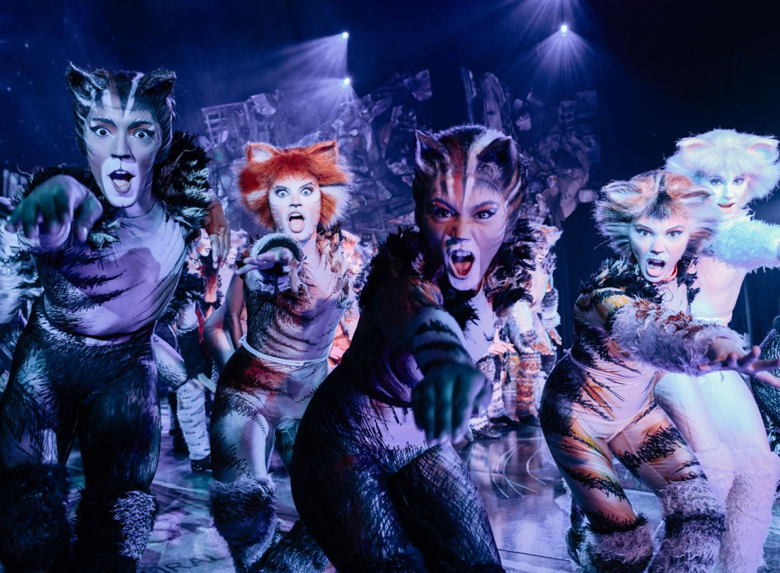 media.B6332F12C80D06690753845744FBE4A9